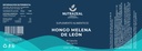 Hongo Melena de León