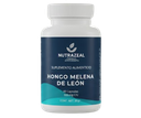 Hongo Melena de León